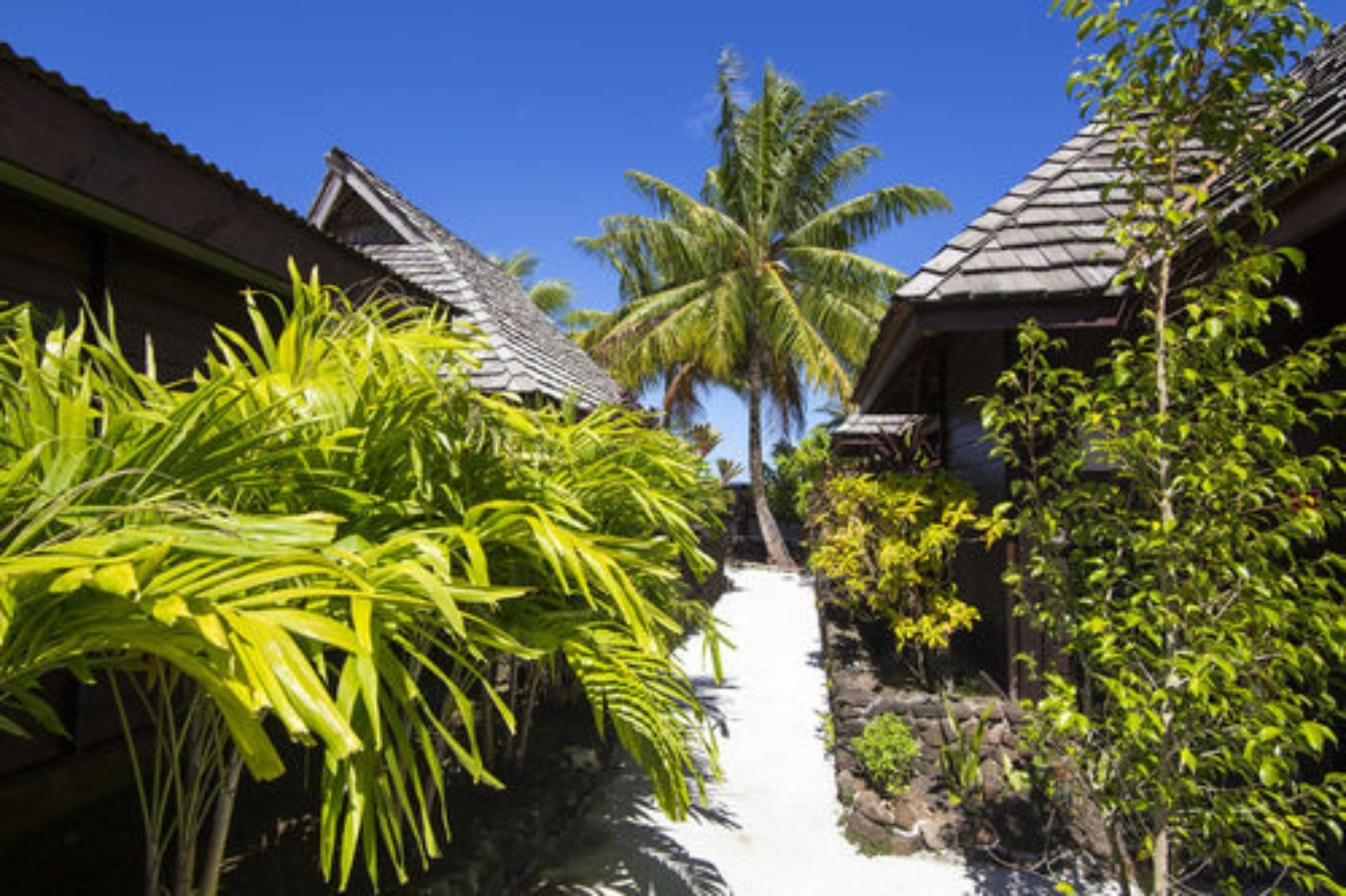 Oa Oa Lodge Bora Bora Buitenkant foto