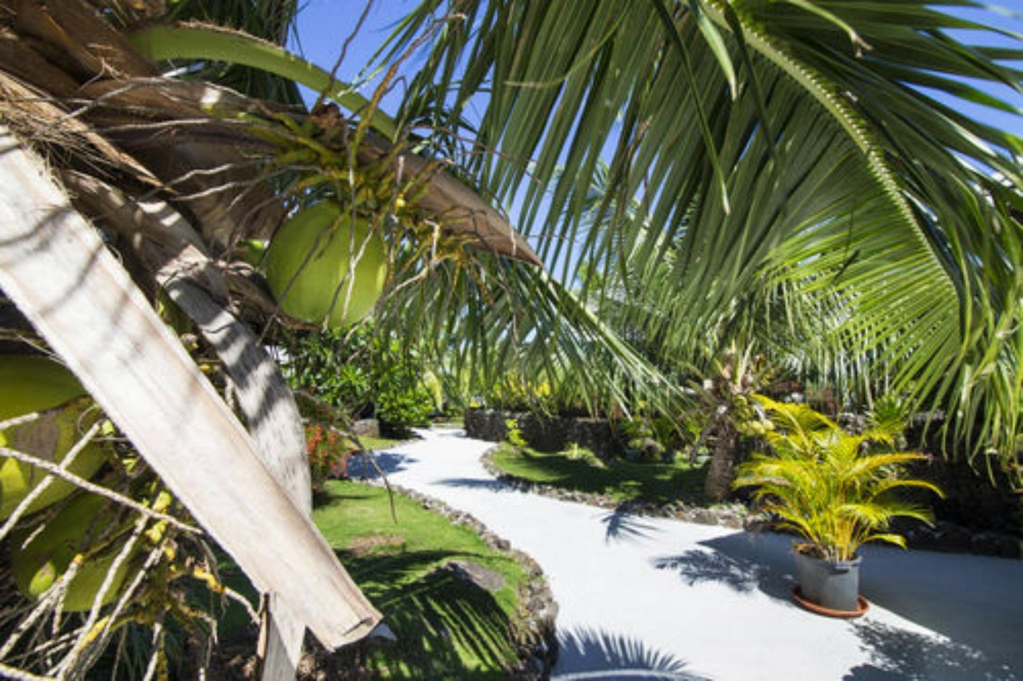 Oa Oa Lodge Bora Bora Buitenkant foto